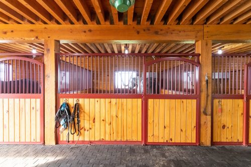 horse stall interior