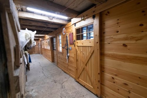 interior horse barn