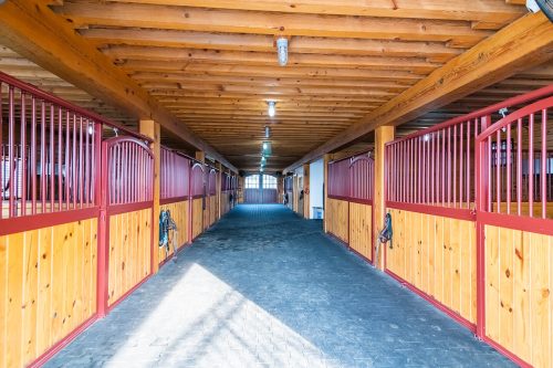 rustic interior horse stalls